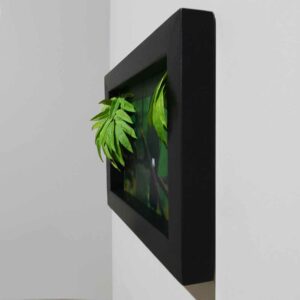 Living Wall Pictures © - Wanddecoratie schilderij kunst