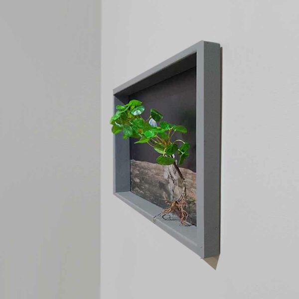 Living Wall Pictures © - Wanddecoratie schilderij kunst
