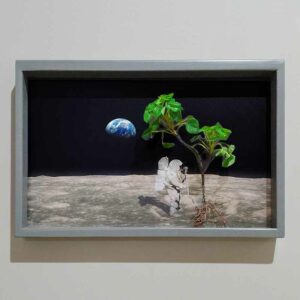 Living Wall Pictures © - Wanddecoratie schilderij kunst