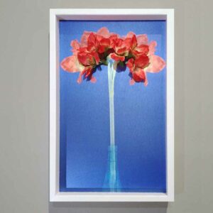 Living Wall Pictures © - Wanddecoratie schilderij kunst